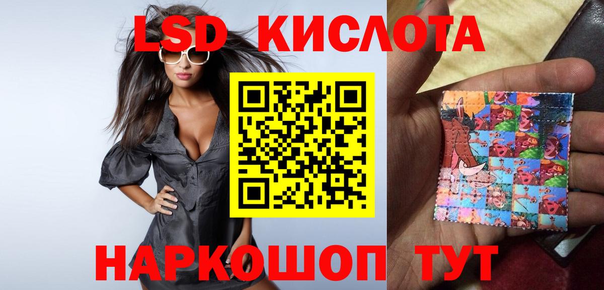 Галлюциногенные грибы Назрань