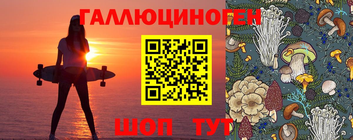 Галлюциногенные грибы прущие грибы Назрань