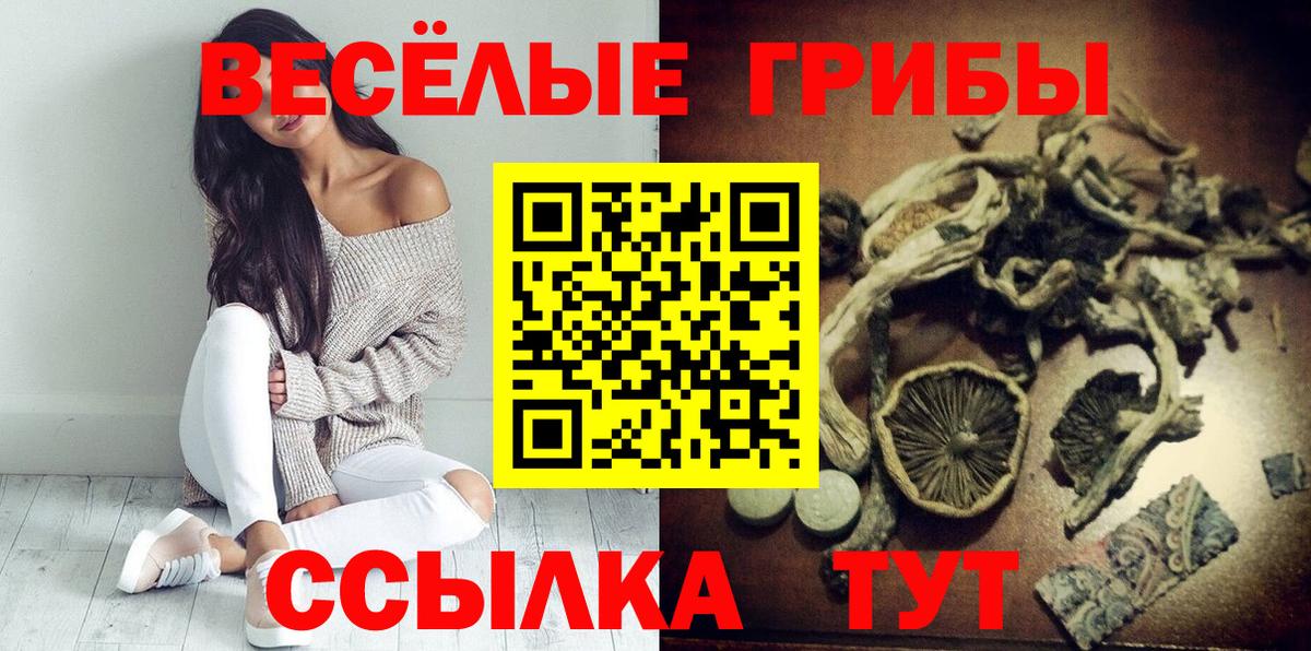 Псилоцибиновые грибы MAGIC MUSHROOMS  цены   Вход с VPN  Назрань  Псилоцибиновые грибы прущие грибы 